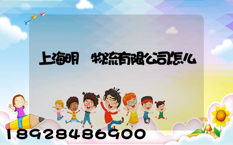 上海明眾物流有限公司怎么樣
