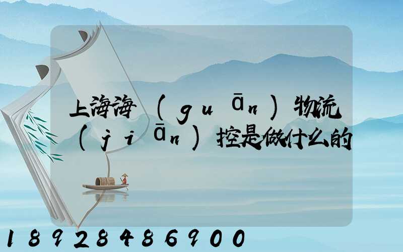 上海海關(guān)物流監(jiān)控是做什么的