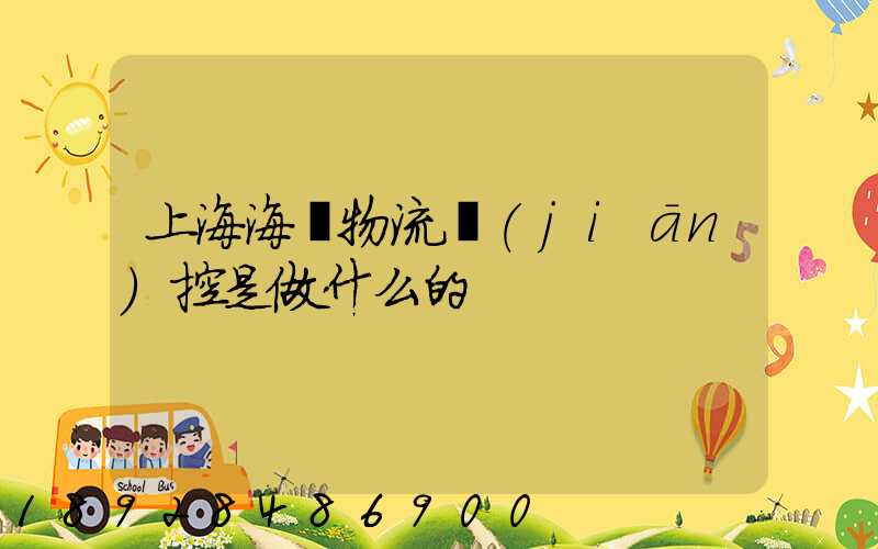 上海海關物流監(jiān)控是做什么的