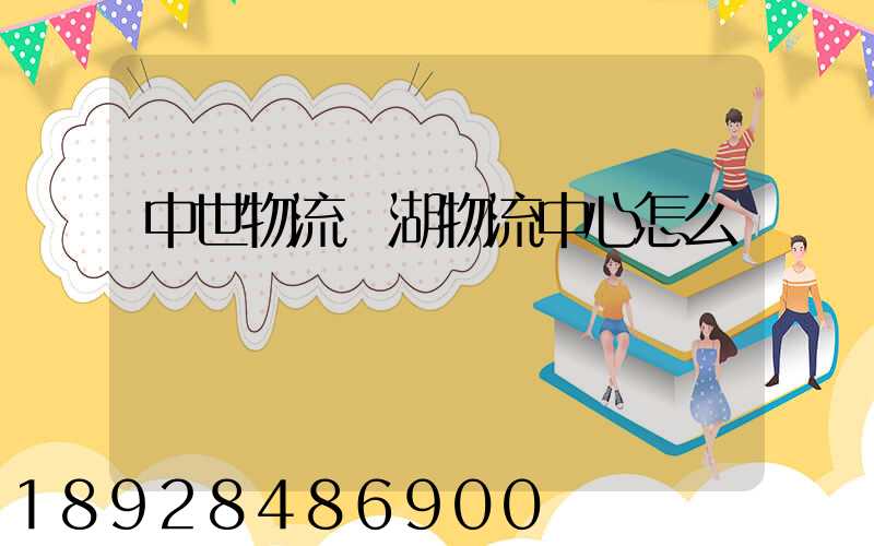 中世物流蕪湖物流中心怎么樣