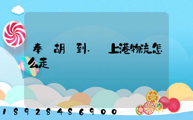 奉賢胡橋到.·上港物流怎么走