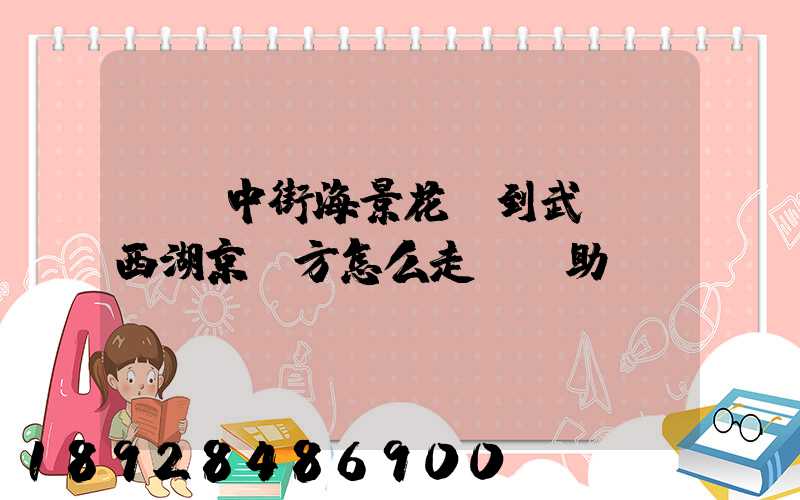 從吳中街海景花園到武漢東西湖京東方怎么走請幫助