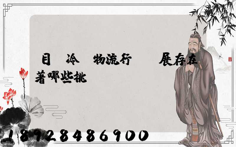 目前冷鏈物流行業發展存在著哪些挑戰