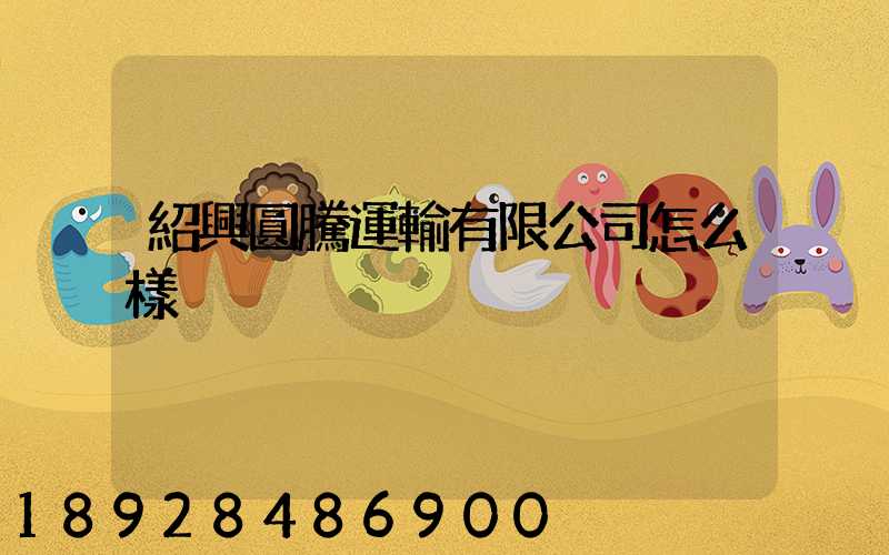 紹興圓騰運輸有限公司怎么樣