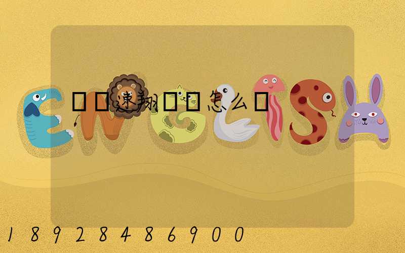 紹興速翔車隊怎么樣